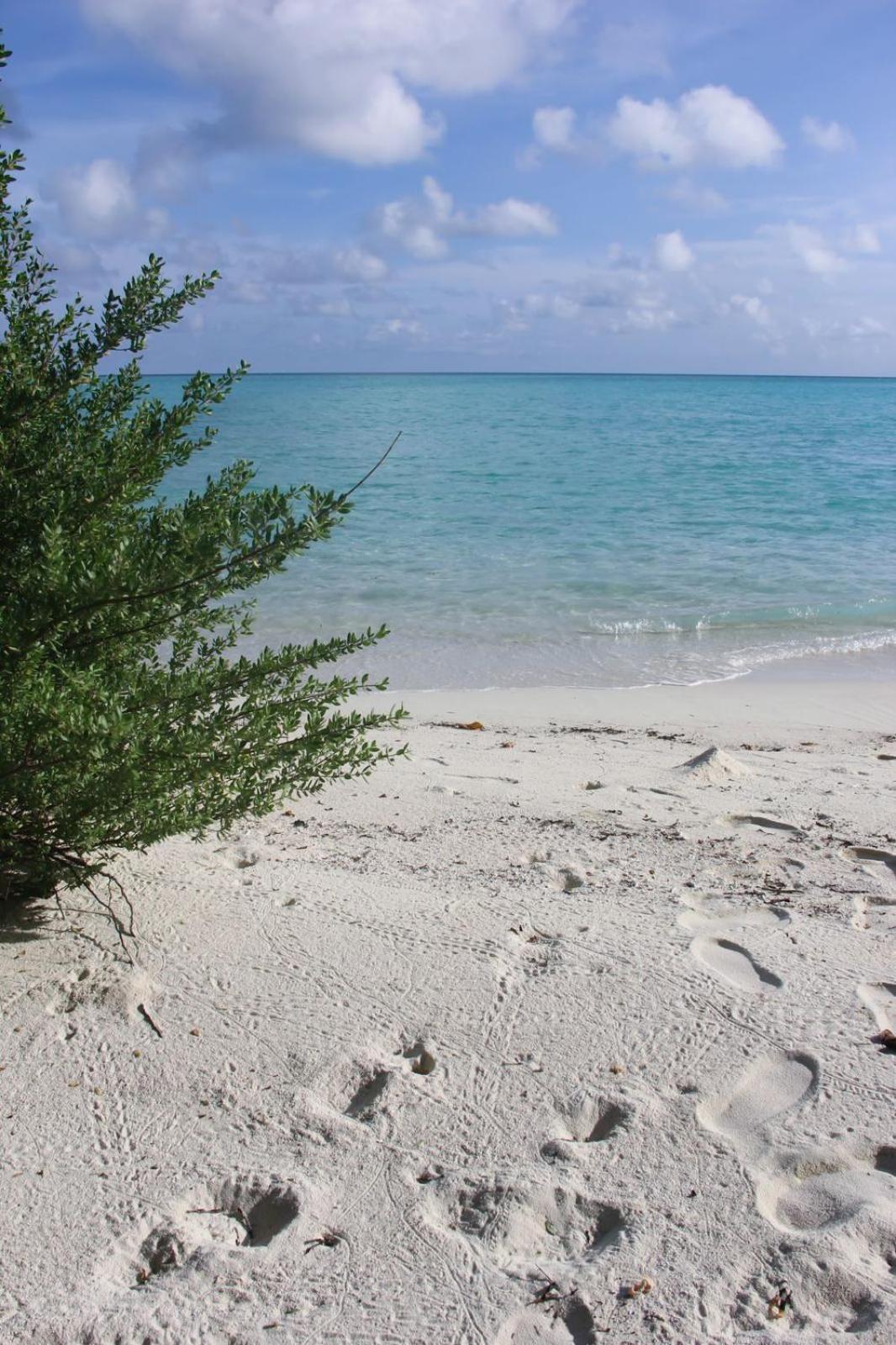 Isla Retreat Hotel Fehendhoo ภายนอก รูปภาพ